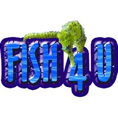Fish 4 U .